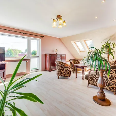 Tyczkówka Ii * Stężyca